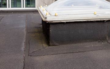 disadvantages of Garlic Street flat roofs